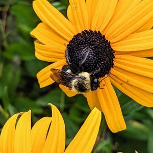 Meet your Posher, Charmaine